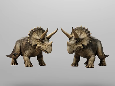 Detailed Realistic Brown Triceratops Dinosaur Models Standing Facing Each Other 3d model