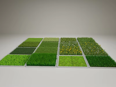Different Types Of Green Grass And Colorful Flowers In Square Garden Sections 3d model
