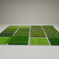 Different Types Of Green Grass And Colorful Flowers In Square Garden Sections