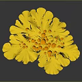 Delicious Yellow Flower Shaped Food With Fresh Decorative Petals And Center