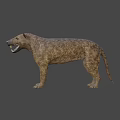 Prehistoric Animal Model With Open Mouth Sharp Teeth Brown Fur And Blue Eyes