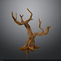 Unique Orange Brown Plant With Twisted Branches And Artistic Tree Stump Shape