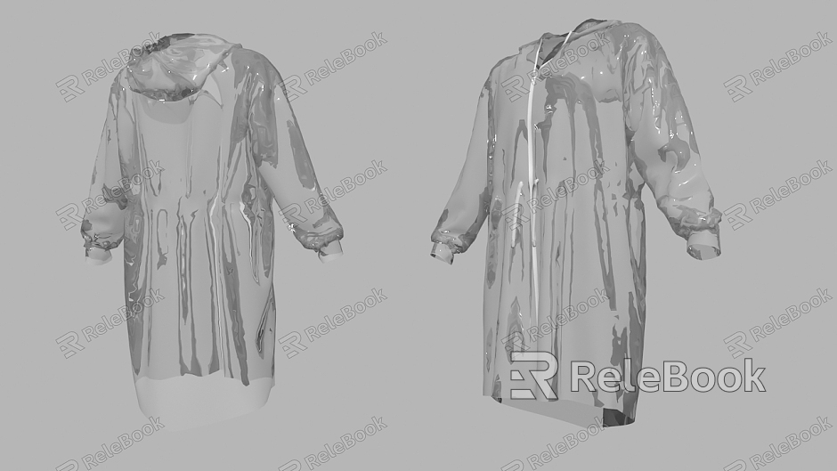 Transparent Long Sleeve Coat model