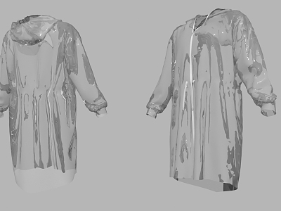 Transparent Long Sleeve Coat model