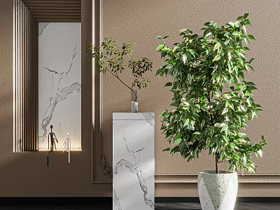 Bonsai Potted Plants In Modern Interior With Marble Countertop Floor Beige Wall And Decorative Molding 3d model