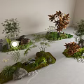 Indoor Plant Combinations with Bamboo Red Leaf Trees and Ferns Stones Pebbles and Moss Decor