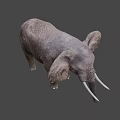 Elephant Game Movie Character with Large Ears Long Trunk and White Tusks