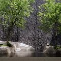 Tranquil Courtyard Garden With Lush Green Trees Stone Wall Rocks And Paved Ground