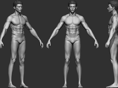 Male Human Figure 3D Model With Muscular Structure From Different Angles 3d model