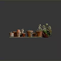 Small Potted Plants In Copper Containers On Decorative Tray With Green Leaves