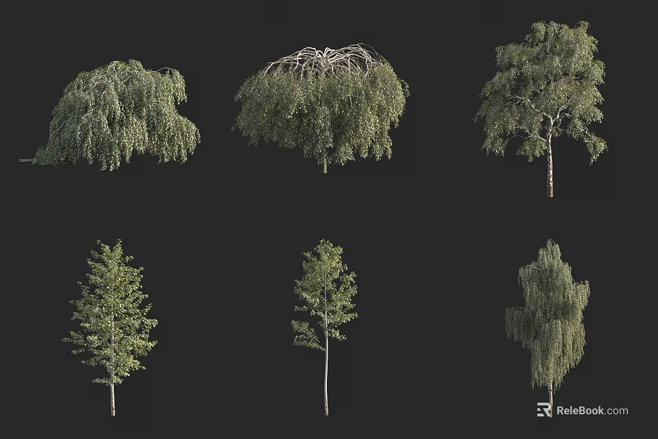 Various Arbor Types Featuring Different Foliage And Branch Structures 3d model