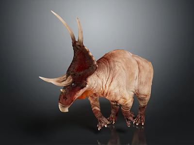 Realistic Triceratops Dinosaur With Reddish Brown Skin Large Horns And Frill 3d model