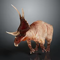 Realistic Triceratops Dinosaur With Reddish Brown Skin Large Horns And Frill