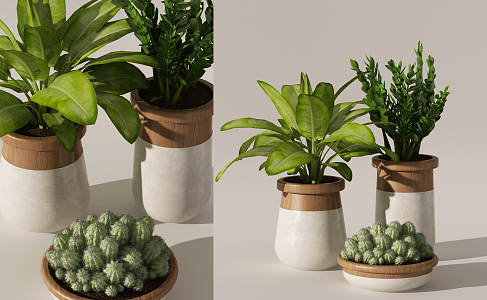 Modern potted combination 3d model