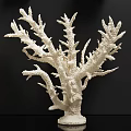 White Gold Coral And Shell Decorative Ornament Set For Home Decoration