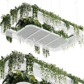 Modern hanging basket hanging plant 3d model