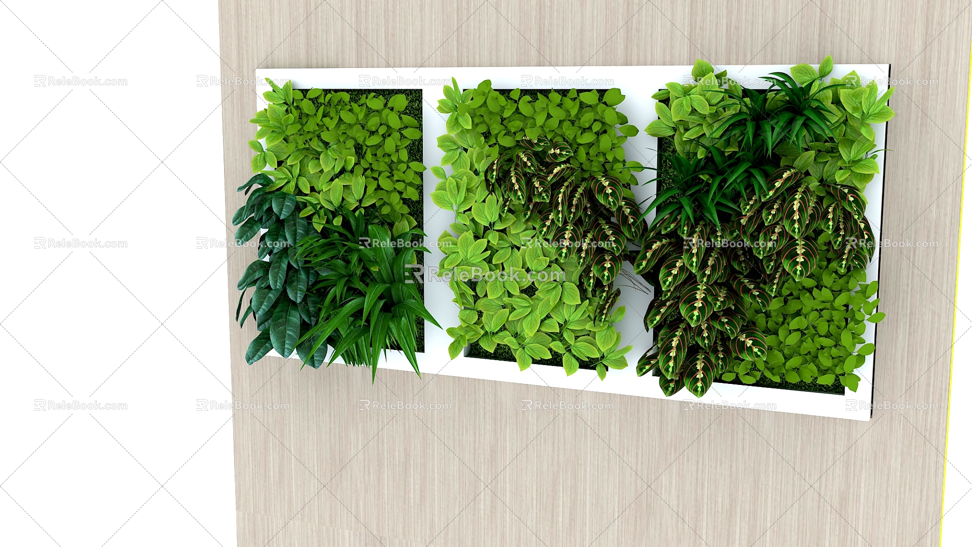 green plant wall plant 3d model