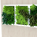 green plant wall plant 3d model