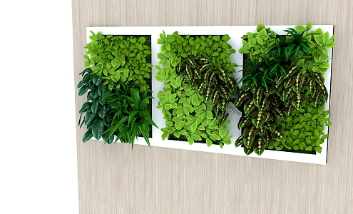 green plant wall plant 3d model