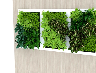 green plant wall plant 3d model