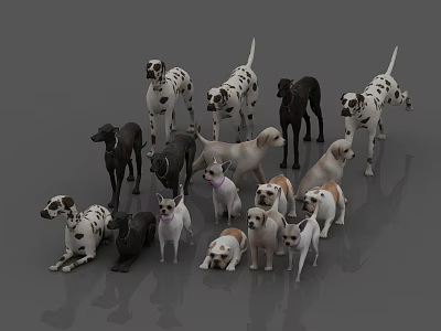 Various Reptile Species Including Lizards Snakes And Turtles In Group 3d model