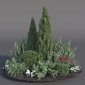 Circular Garden Shrub Arrangement With Conical Rounded Varieties White Flowers Red Accents