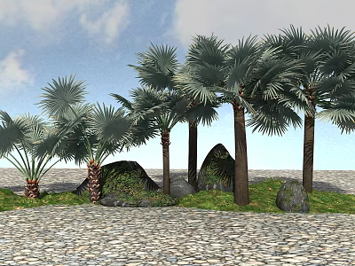 Group Of Tall Palm Trees With Green Fronds On Pebble Ground And Grass 3d model