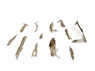 Dried Arbor Branches Scattered on White Background with Natural Rough Texture 3d model