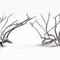 Natural Dry Arbor Branches With Twisted Bare Structure On White Background 3d model