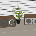Vintage Wooden Radios With Analog Dials And Green Plant On Windowsill