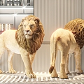 animal lion 3d model