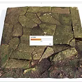 Natural Stone Ground Laid With Irregular Stones Covered In Green Moss For Rustic Natural Look