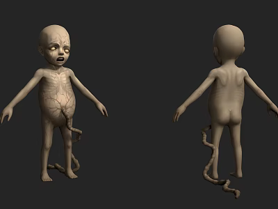 3D Character Creature Model Featuring Visible Abdominal Tissue Connection Structure 3d model