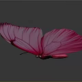 Stunning Pink Butterfly with Spread Wings and Detailed Wing Patterns on Dark Background