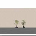 Modern Minimalist Green Leaf Bonsai Potted Plants in Black Round Pots with Light Background