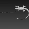 White Reptile Lizard in Standing Pose with Long Tail on Brown Background Detailed Model