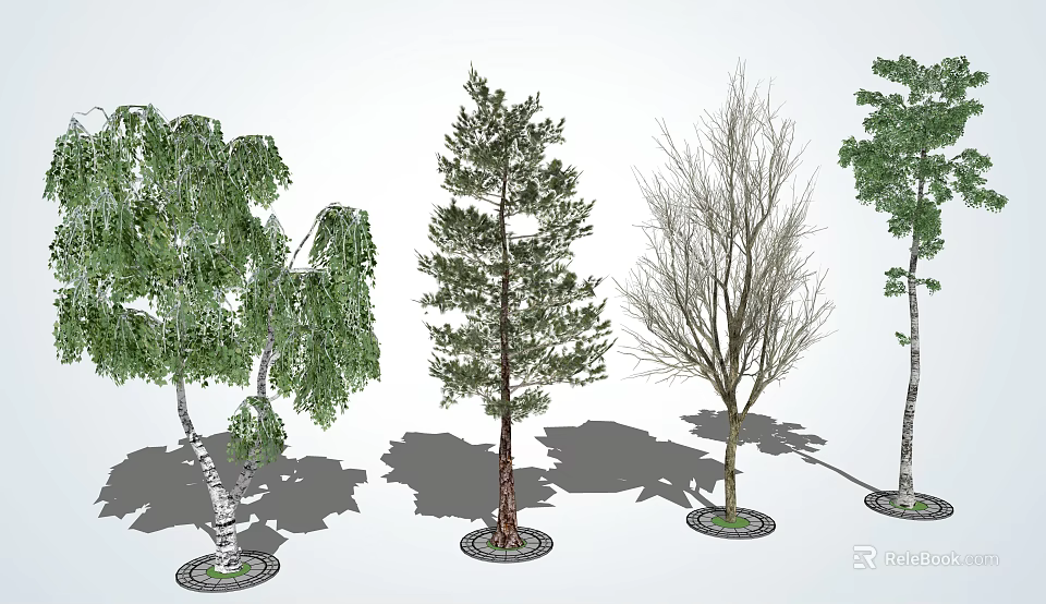 Diverse Arbor Trees Featuring Green Foliage Coniferous and Deciduous Varieties with Shadows 3d model