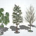 Diverse Arbor Trees Featuring Green Foliage Coniferous and Deciduous Varieties with Shadows 3d model