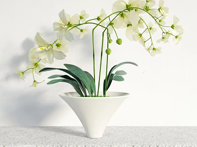White Potted Plant With White Flowers And Green Leaves In Cone Shaped Pot 3d model