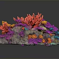 Vibrant Coral Shaped Flowers with Red Orange Purple Blue Hues on Dark Background