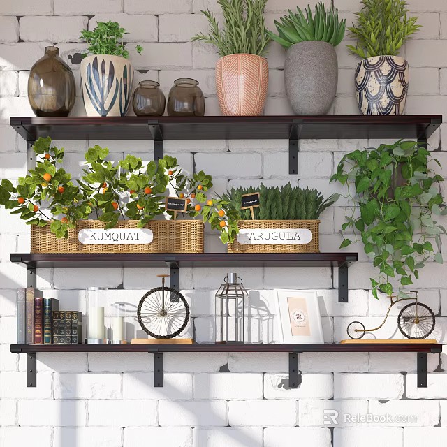 Stylish Wall Mounted Shelves With Potted Plants Decorative Vases And Books For Modern Home 3d model 