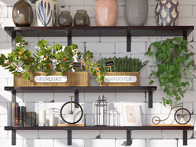 Stylish Wall Mounted Shelves With Potted Plants Decorative Vases And Books For Modern Home 3d model