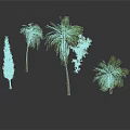 Various Types of Decorative Plants Including Palm Trees and Pine with Green Leaves
