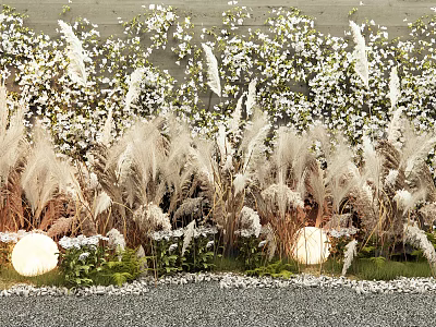 Beautiful White Flowers and Pampas Grass Garden Decor With Decorative Lights and Gravel Path 3d model