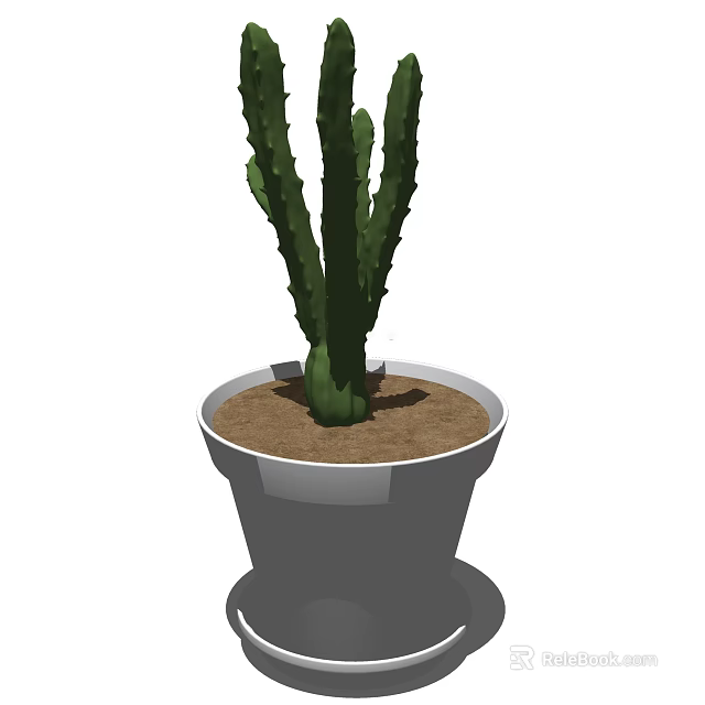 Bonsai Cactus Potted Plant with Tall Green Stems in Gray Pot and Brown Soil 3d model 