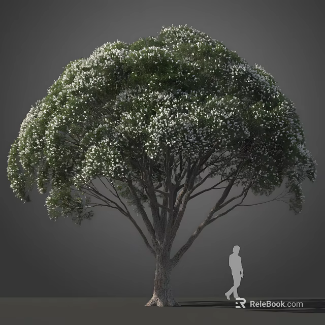 Tall Tree Blooming with White Small Flowers With a Human Silhouette Nearby Against Gray Background 3d model 