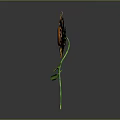 Bright Yellow Sunflower With Green Stem And Leaves On Dark Background