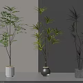 Three Indoor Potted Plants with Different Planters Against Grey Wall and Light Floor 3d model