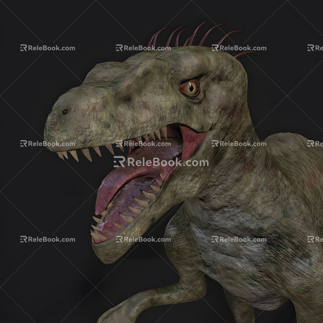 Dinosaur Raptor 3d model