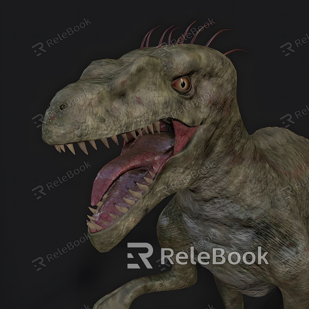 Dinosaur Raptor model